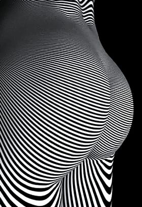 Get Your Ass to the Back of the Line: A Sizzling Hot Tale of Tail and Tease'