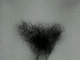 Hairy Pussy Vintage: A Sexy, Sultry Sensation'