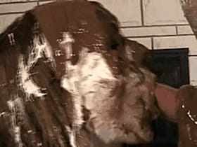 Chocolate Syrup Blowjob Fetish: Messy, Wam, and Gunge-filled Fun'