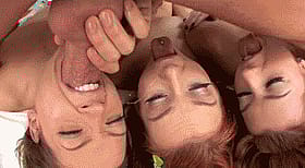 Babes Giving Each Other Sensual Blowjobs'