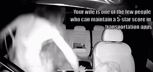 Your Wife is One of a Kind: Cheating in a Car Caption picture 1 of 1