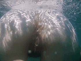 Blonde Nude Ass Swimming in the Ocean'