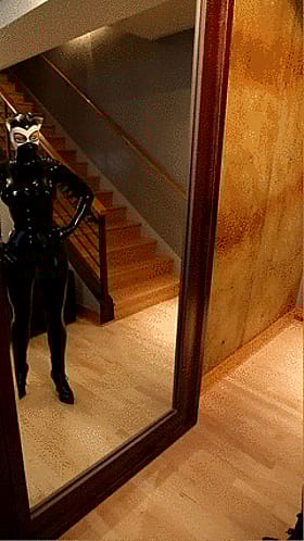 Kitty in a Catsuit: Latex-Clad Feline Strikes a Pose'
