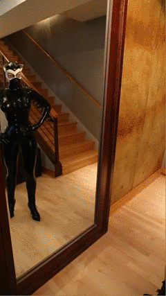 Kitty in a Catsuit: Latex-Clad Feline Strikes a Pose picture 1 of 1