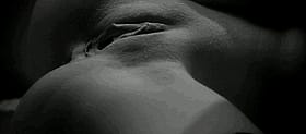 Belly Cumshots: Stomach Cumshots, Cumshots on Belly'
