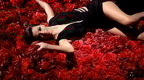 Brunette Celebrity Latina Lays in a Bed of Red Roses'