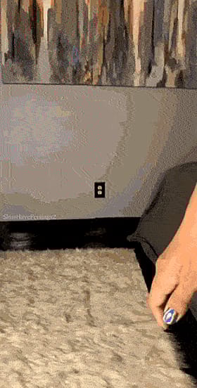 Babes on the Floor: A Sensual Experience'