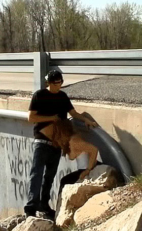 Blowjob in the Park: Teen Gets Public Sex'