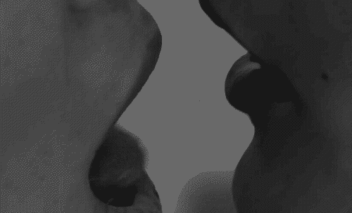 Kissing Kittens: A Sizzling Sexy Experience picture 1 of 1