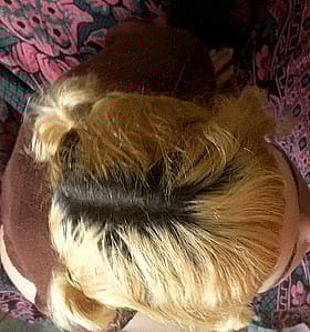 Blonde Blowjob from Girlfriend'