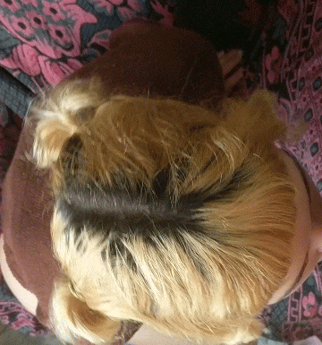Blonde Blowjob from Girlfriend picture 1 of 1