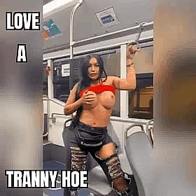 Benamar MILF: Shemale Captions, GIFs, and Hoes'