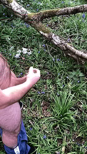 Cumshot in the Wild: A Solo Male's Nature Adventure'