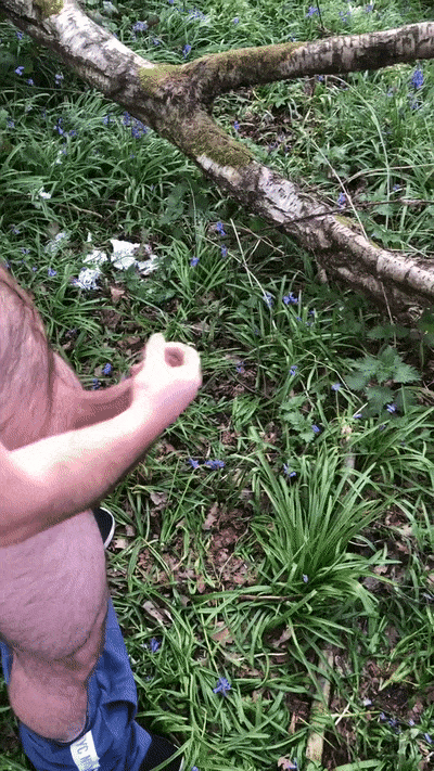 Cumshot in the Wild: A Solo Male's Nature Adventure picture 1 of 1