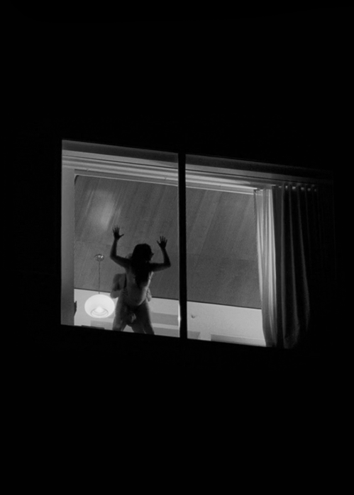 Public Sex in the Window: A Night of Passion picture 1 of 1