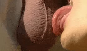 Babes Love Balls: Get Your Blowjob On'