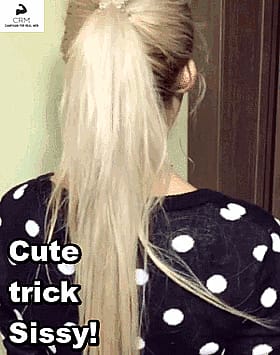 Amateur Blowjob Trick'