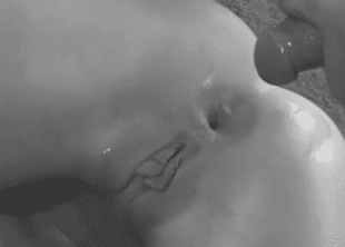 Anal Cumshots: The Ultimate Sex Experience picture 1 of 1