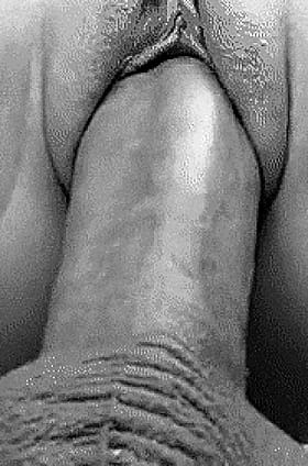 Get Your Orgasm On: A Hardcore, Sweaty, and Satisfying Experience'