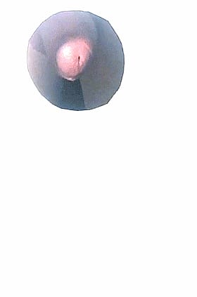Amateur Pussy Exploration'