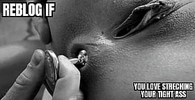You Want Anal GIF? Try This Buttplug Stretching Analstretching Analgif Reblog If You Love Toys!'