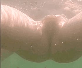 Hairy Pussy Swimming in the Ocean'