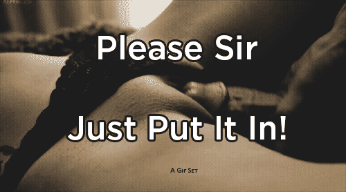 Please Sir, Just Put It In: A Gif Set picture 1 of 1