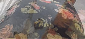 Pussy Voyeur's Paradise: Explore the Wildest Asses Online'