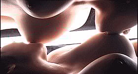 Babes Gone Wild: Lesbian GIFs for Your Pleasure'