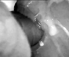 Blowjob Close Up: Cumming Soon'