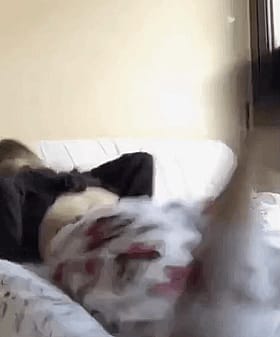 Amateur Ass Exploration: A Wild Ride'