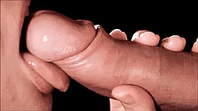 Give Me a Blowjob: A Sensual Experience'