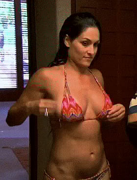 Nikki Bella's Big Tits: A WWE Divas Erotic Experience'