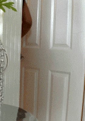 Butt-Crazy White Door'