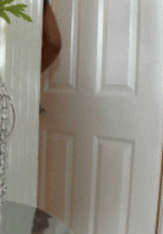 Butt-Crazy White Door picture 1 of 1