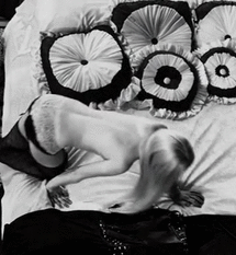 Babes, Celebrity, Hot: The Ultimate Erotic Experience picture 1 of 1
