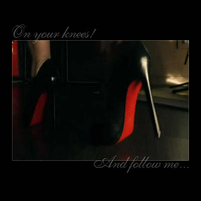High Heels and Stilettos: On Your Knees! picture 1 of 1