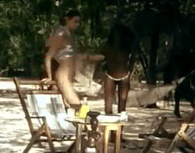 Babes in the Woods: A Brunette's Erotic Adventure'