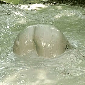 Muddy Messy Ass: A Slippery, Wet, and Wild Ride'