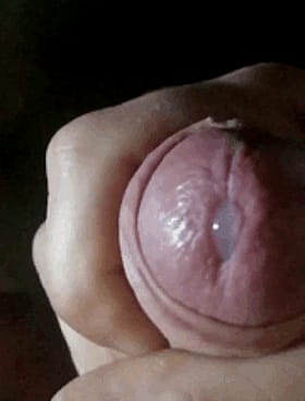 Cum Dripping from the Penis: A Slow Motion Solo Male Self Shot'