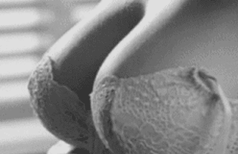Big Tits, Hot Lingerie: A Sizzling Sex Experience picture 1 of 1