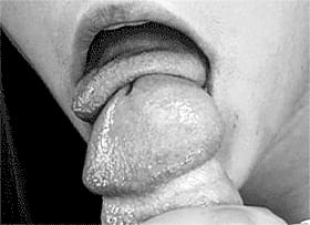 Babes Love Cock Licking: Cockhead Tease with Tongue'