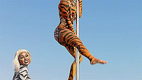 Tiger Stripes and a Sexy Celebrity Ass: A Sizzling Hot Pole Dance'