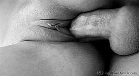 Creampie Gang Bang: A Sensual Experience'