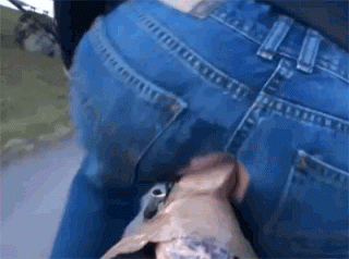 Pussy Playtime: A Public Sex Adventure picture 1 of 1