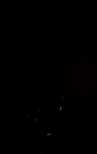 Big Tits, Creampie, Hardcore, Interracial: Get Your Fill in the Dark picture 1 of 1