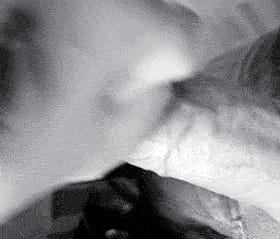 Amateur GIF Sex: Penis Size'